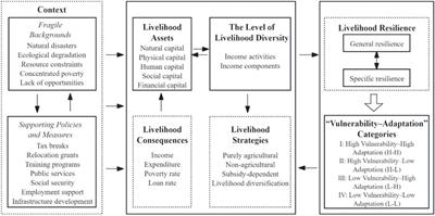 Exploring the relationship between vulnerability and adaptation of rural households: disaster resettlement experience from rural China